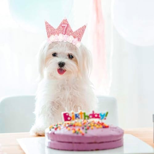 SuPoo 7th Birthday Girl Headband Crown Glitter Hair Band Party Decorations 7 Year Old Happy Princess Tiara Flower Hair Accessory - Image 4