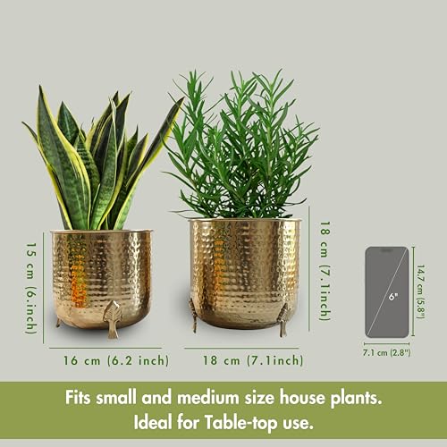 BEHOMA Metal Hammered Planter for Home Decor | Decoratives for Indoor Outdoor Balcony Living Room | Table Decorative Plant Pot for Gifting | Set of 2 | Golden (Plant not Included) - Image 5