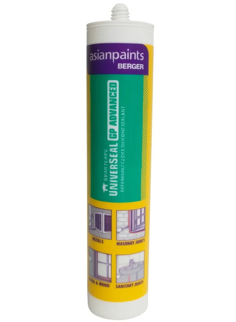 GP ADVANCE SILICON - BERGER