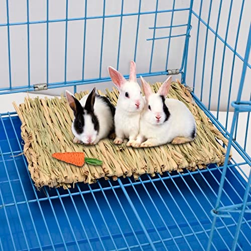 S SANGLE SOPFFY Grass mat for Rabbit Bunny Sangle Sopffy 6 Pcs,Rabbit Hay Mat,Small Animal Cages Hay Mat,Rabbit Grass Mat,Nesting and Toys for Guinea Pig Parrot Rabbit Bunny Hamster Chinchilla Squirrel - Image 4