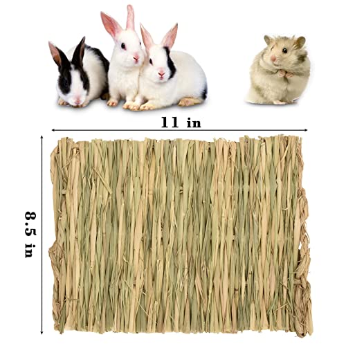 S SANGLE SOPFFY Grass mat for Rabbit Bunny Sangle Sopffy 6 Pcs,Rabbit Hay Mat,Small Animal Cages Hay Mat,Rabbit Grass Mat,Nesting and Toys for Guinea Pig Parrot Rabbit Bunny Hamster Chinchilla Squirrel - Image 2