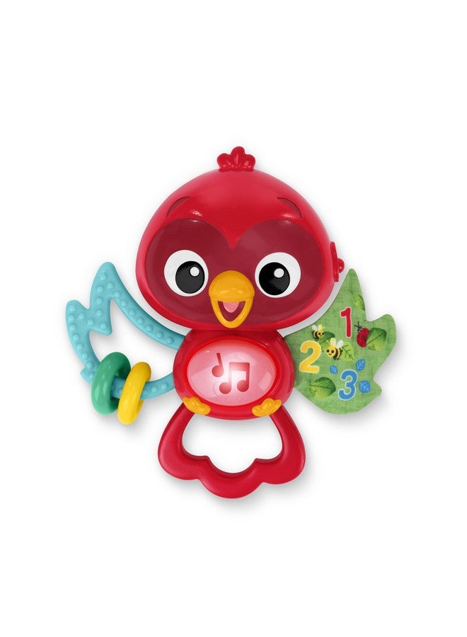 Baby Einstein Roxys Bright Flight Musical Baby Toy & Teether, Plays Real Bird Sounds with 10+ Melodies, Multisensory, Ages 3 Months and Up - Image 1