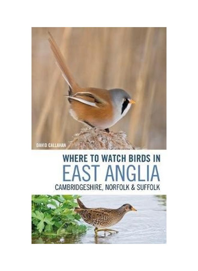 Where To Watch Birds In East Anglia