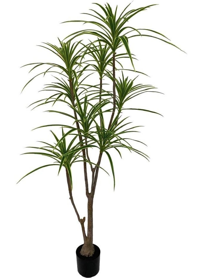 Nettenevime Artificial Tree Dracaena Tree 8 trunks 180CM Premium Quality - pzsku/Z9B6B8F015810E74A44FBZ/45/_/1725723909/479112e6-b1a1-4ff8-844e-0143ca75ea22