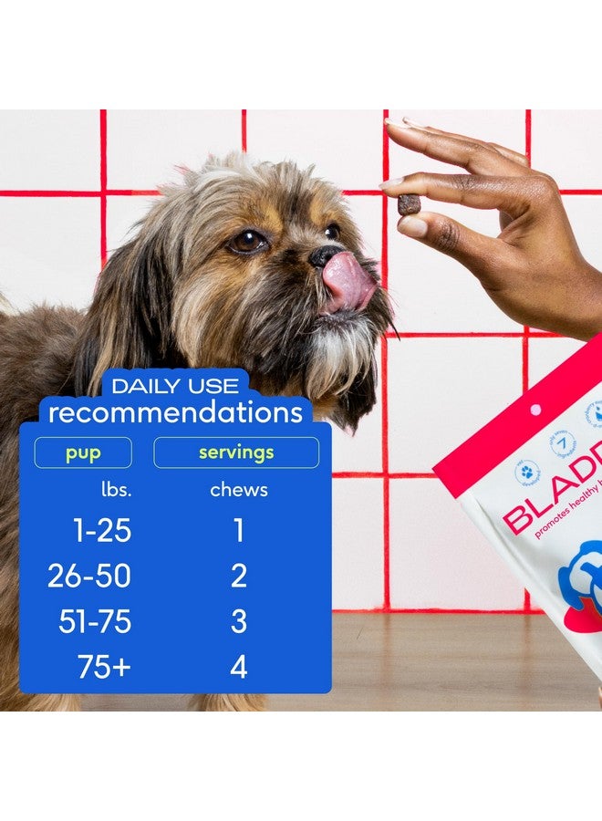 Native Pet Dog UTI Treatment - Cranberry Supplement for Dogs Bladder Control & Kidney Support - Prevent Urinary Tract Infection and Urinary Incontinence - Made with Real Cranberry Extract - 30 Chews - Image 5