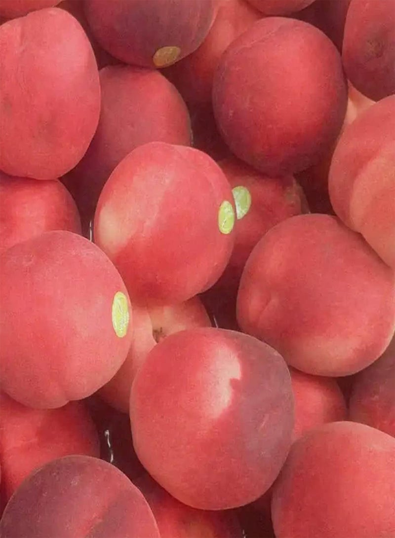 GGOOT 10pcs Peach Seeds Enjoy Joy of Harvesting Fast Growth Simple Operation Cultivate Interest in Planting Create Beautiful Environment DIY Decoration - Image 2