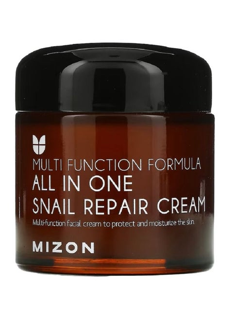 MIZON ALL IN ONE SNAIL REPAIR CREAM 75ML