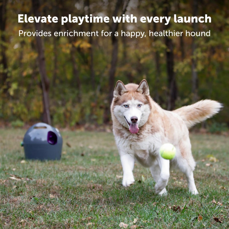 PetSafe Automatic Ball Launcher - Interactive Fetch Game - Hands-Free Fetch Training - Adjustable Range - Includes Tennis Balls - Indoor Outdoor Play - Motion Sensors - Automatic Sleep Mode - Image 2