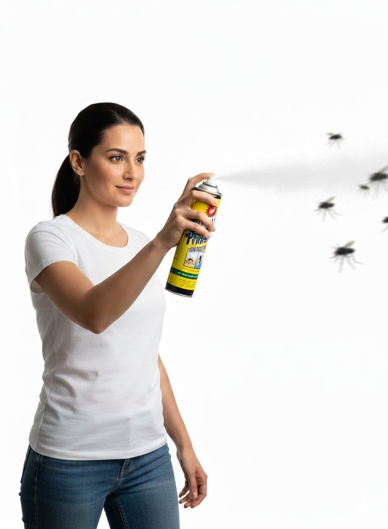 Pyrosol Flying Insect Killer Spray (two pieces)- 600 ml - Image 2