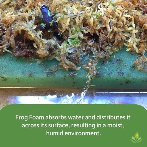Josh's Frogs Frog Foam Terrarium Liner (12x12 Glass Terrarium) - Image 3