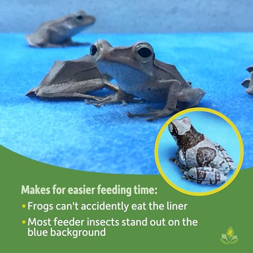Josh's Frogs Frog Foam Terrarium Liner (12x12 Glass Terrarium) - Image 4