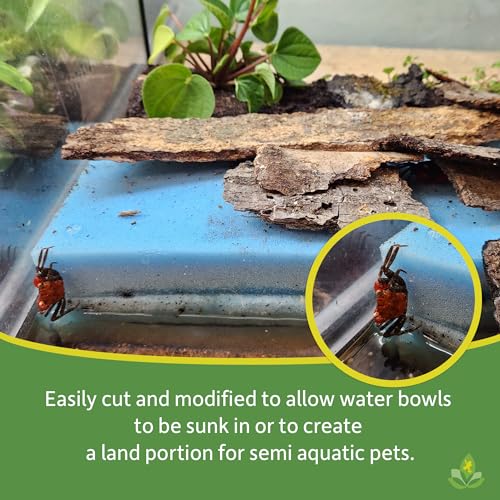 Josh's Frogs Frog Foam Terrarium Liner (12x12 Glass Terrarium) - Image 5