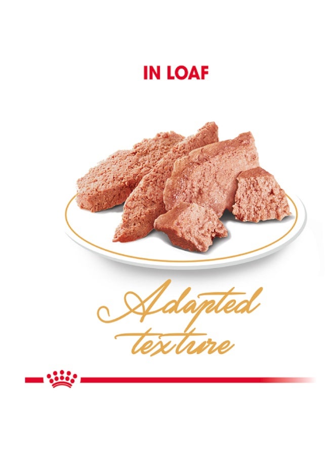 Royal Canin FBN Persian FBN Breed Specific Wet Cat Food Pouch 12x85g - Image 5