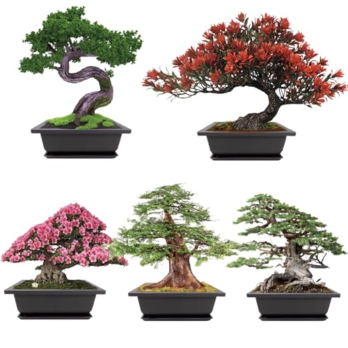 Meekear Growing into Blue Spruce, Dawn Redwood, Flame Tree, Judas Tree, Indoor Outdoor Home Gardening DIY Gifts - Image 1