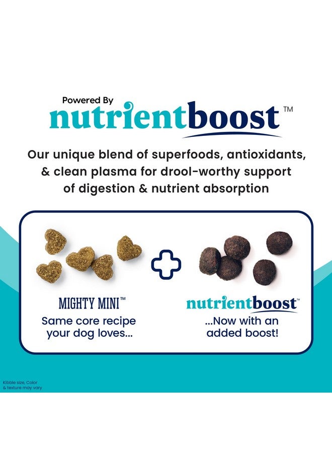 solid gold Nutrientboost Mighty Mini Small Breed Dog Food  Dry Dog Food Made With Real Chicken For Any Toy Breed  Grain & Gluten Free Recipe For Gut Health & Sensitive Stomach Support  3.75 Lb Bag - Image 3