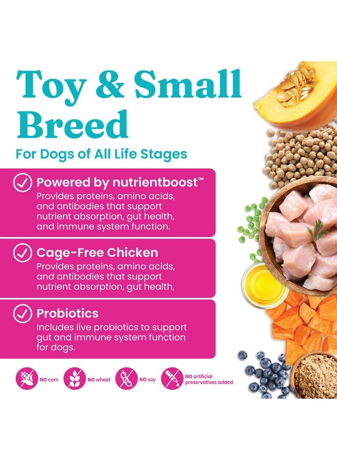 solid gold Nutrientboost Mighty Mini Small Breed Dog Food  Dry Dog Food Made With Real Chicken For Any Toy Breed  Grain & Gluten Free Recipe For Gut Health & Sensitive Stomach Support  3.75 Lb Bag - Image 5
