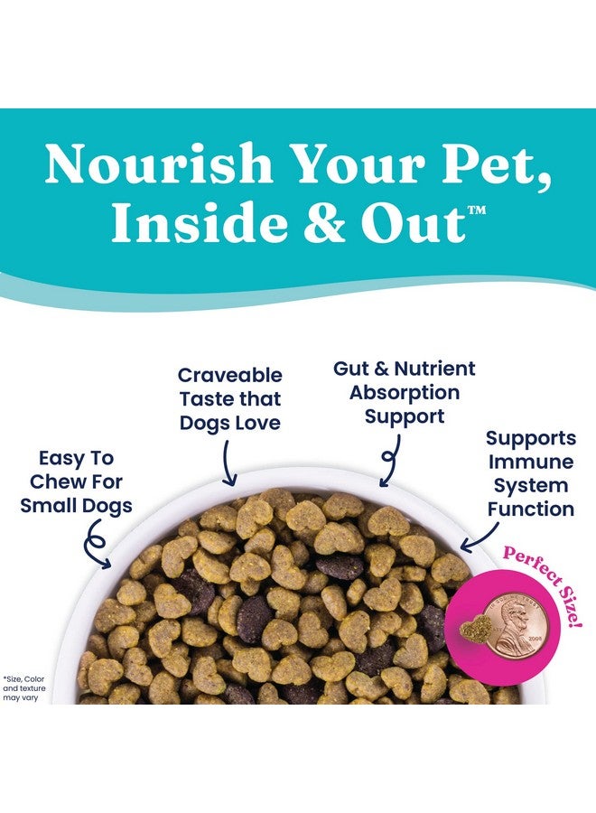 solid gold Nutrientboost Mighty Mini Small Breed Dog Food  Dry Dog Food Made With Real Chicken For Any Toy Breed  Grain & Gluten Free Recipe For Gut Health & Sensitive Stomach Support  3.75 Lb Bag - Image 4