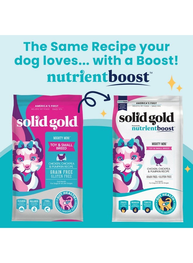 solid gold Nutrientboost Mighty Mini Small Breed Dog Food  Dry Dog Food Made With Real Chicken For Any Toy Breed  Grain & Gluten Free Recipe For Gut Health & Sensitive Stomach Support  3.75 Lb Bag - Image 2