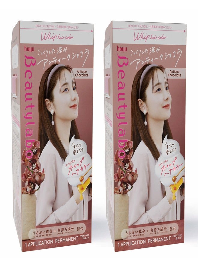 Hoyu Beautylabo Whip Antique Chocolate - 2 Pack - Image 1