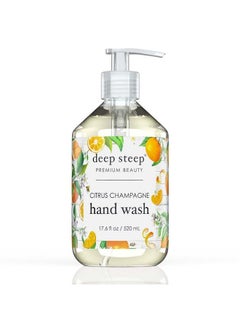 Liquid Hand Wash 17.6 Ounces (Citrus Champagne) - pzsku/Z9B73E5E66DE6B941E1E5Z/45/_/1686396728/a4e04e46-32f5-40e5-8fe4-748f66c11783