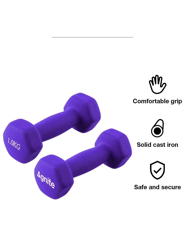 Agnite ER081 Neoprene Dumbbell Single 1Kg 1 piece, Solid Cast Iron Hand Weights With Non-Slip Grip, Hexagonal Design For Home Workouts, Strength Training & Fitness, Purple Color. - Image 2