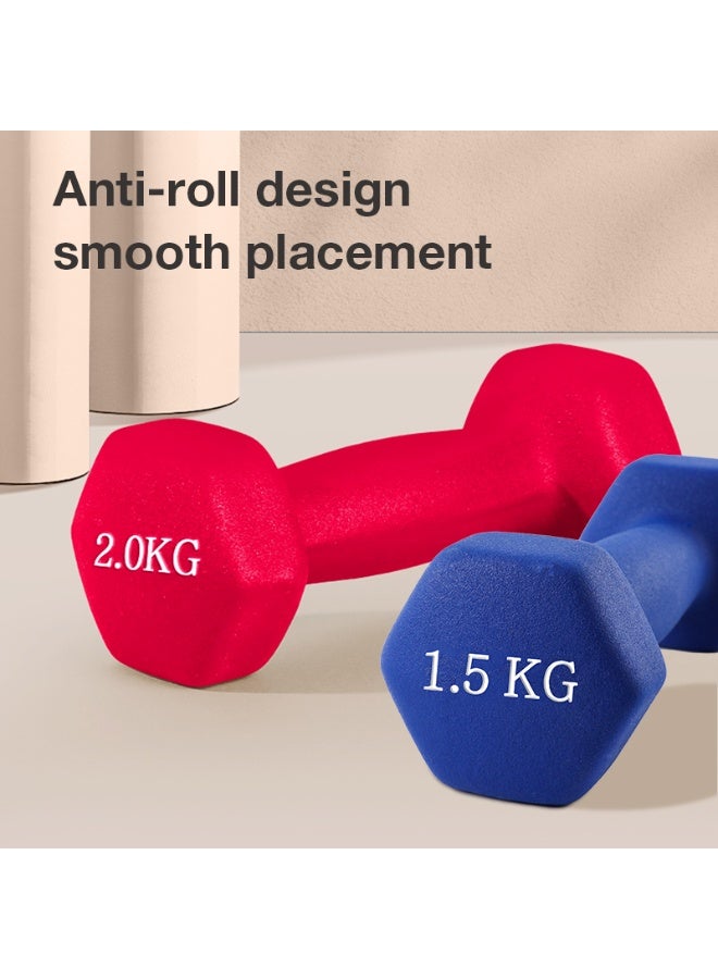 Agnite ER081 Neoprene Dumbbell Single 1Kg 1 piece, Solid Cast Iron Hand Weights With Non-Slip Grip, Hexagonal Design For Home Workouts, Strength Training & Fitness, Purple Color. - Image 3