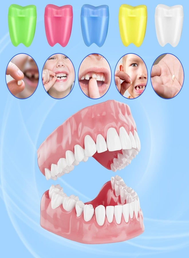 Asofelk 15PCS Bright-Color Toothes Necklaces for Losting Teeth for Kid, Plastic Tooth Saver Necklaces, Cute Tooth Saver for Kids/ Tooth Savers for Children, Toothes Treasure Chest, Lost Teeth Saver Necklace - Image 5