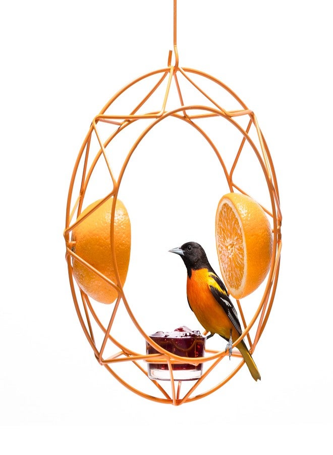 MEKKAPRO Sun Baltimore Oriole Feeder for Outdoors, Jelly and Orange Metal Bird Feeder, Unique Sun Design and Bright Color, Open Top Hook, UV-resistant Powder-coated Steel - Image 1