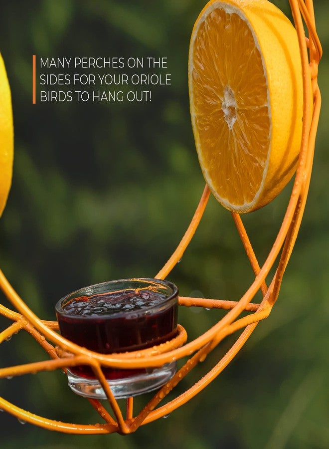 MEKKAPRO Sun Baltimore Oriole Feeder for Outdoors, Jelly and Orange Metal Bird Feeder, Unique Sun Design and Bright Color, Open Top Hook, UV-resistant Powder-coated Steel - Image 4