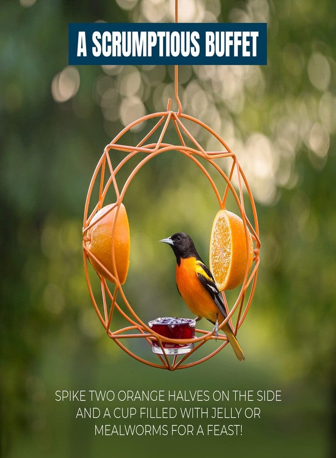 MEKKAPRO Sun Baltimore Oriole Feeder for Outdoors, Jelly and Orange Metal Bird Feeder, Unique Sun Design and Bright Color, Open Top Hook, UV-resistant Powder-coated Steel - Image 3