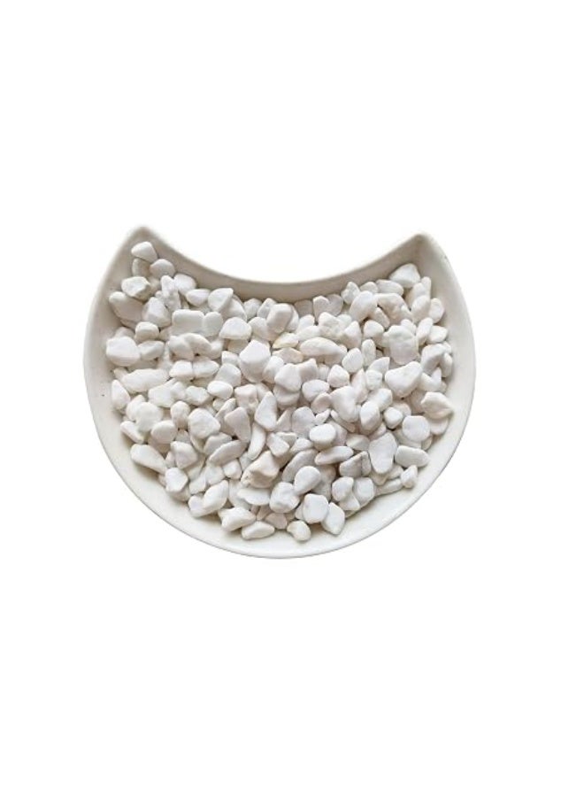 1LB Natural Gravel Pebbles, Cactus and Succulent Plants Pebbles, Small Decorative Polished Stones, White River Rocks for Potted Plants, Vases, Aquariums, Terrarium and Outdoor Gardening - Image 1