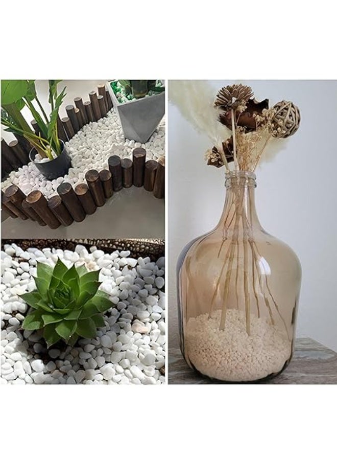 1LB Natural Gravel Pebbles, Cactus and Succulent Plants Pebbles, Small Decorative Polished Stones, White River Rocks for Potted Plants, Vases, Aquariums, Terrarium and Outdoor Gardening - Image 5