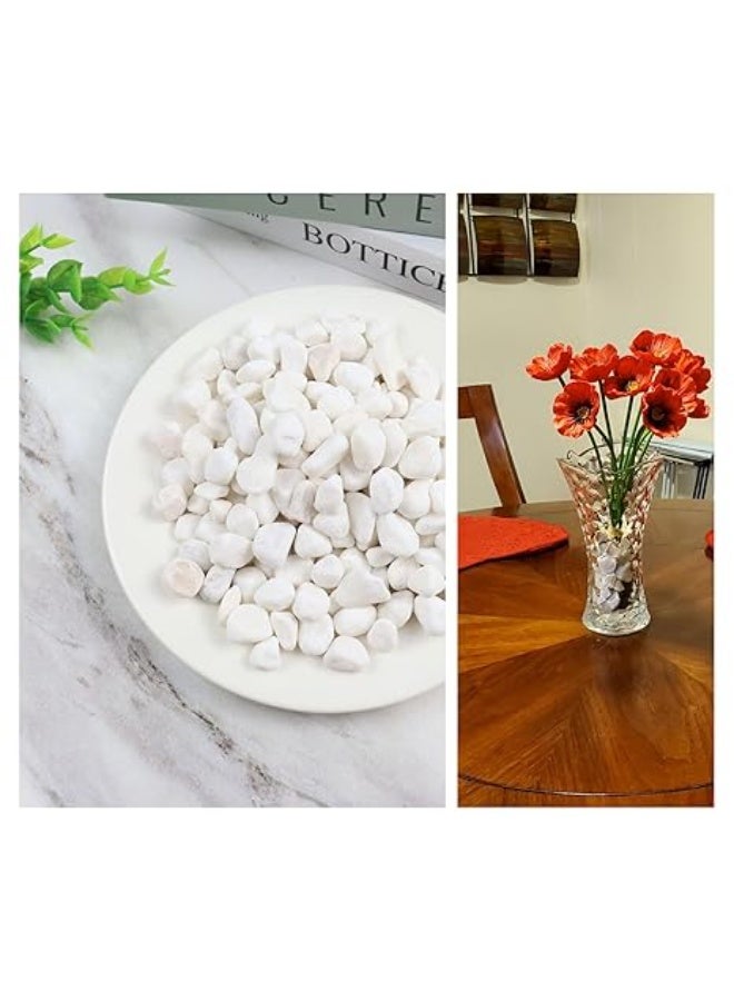 1LB Natural Gravel Pebbles, Cactus and Succulent Plants Pebbles, Small Decorative Polished Stones, White River Rocks for Potted Plants, Vases, Aquariums, Terrarium and Outdoor Gardening - Image 2