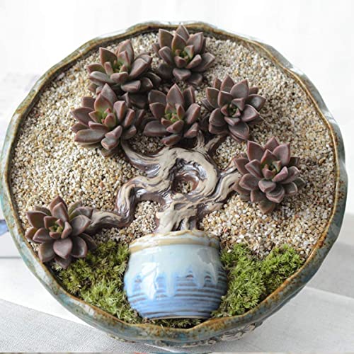 Babique Organic Natural River Sand for Gardening Ideal for Cactus Succulent Bonsai Adenium Potting Soil Mix (5 Kg) - Image 3