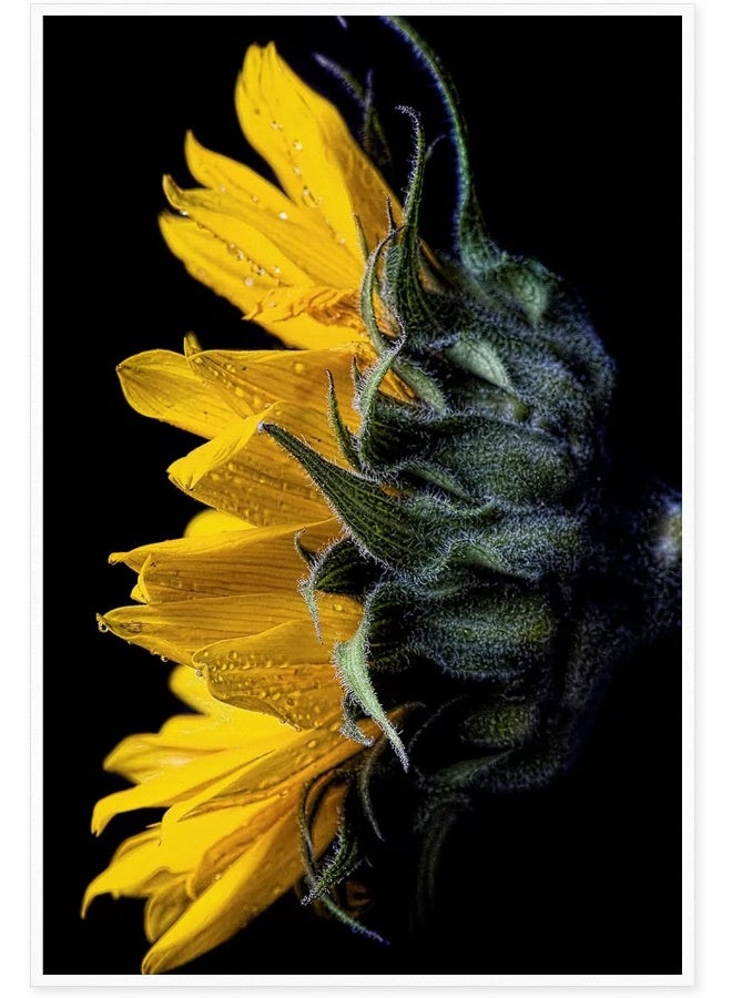 Home Trove Canvas Prints Wall Art For Home and Office Wall Decoration Sunflower Side View Canvas Artwork Print Painting Picture Flower Modern Abstract Unframe Wall Art for Living Room Bedroom Kitchen 20x30inch  - Image 1