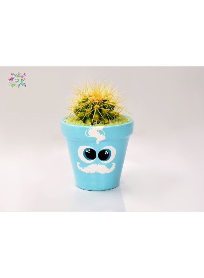 Decorative Handmade Pottery Plant Pot with natural cactus - light blue - 18*10 cm