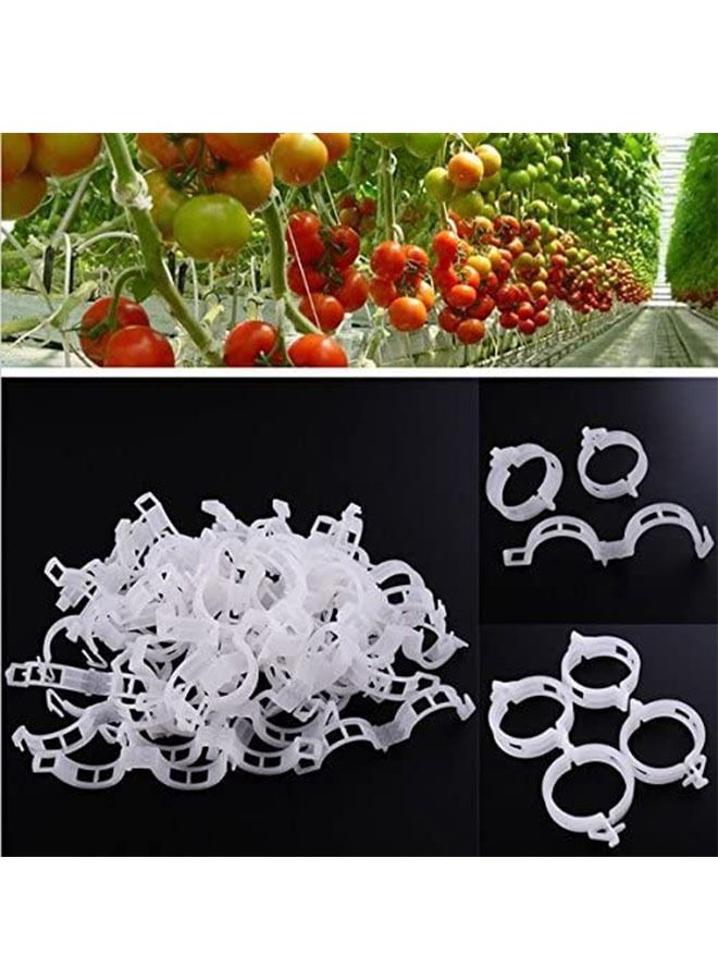 انت 200 قطعة من مشابك دعم النباتات البلاستيكية ، مشابك دعم الحديقة المتينة وكرمة العنب ، مشابك تعريشة نباتات كرمة الطماطم لتنمو منتصبة تجعل النباتات أكثر صحة (أبيض) - Image 4