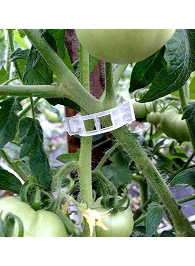 انت 200 قطعة من مشابك دعم النباتات البلاستيكية ، مشابك دعم الحديقة المتينة وكرمة العنب ، مشابك تعريشة نباتات كرمة الطماطم لتنمو منتصبة تجعل النباتات أكثر صحة (أبيض) - Image 5