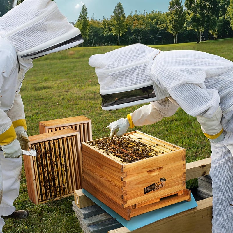 MayBee Beehive Starter Kit 8-Frame Bee Boxes and Frames Starter Kit Wax Coated Bee Hives and Supplies Starter Kit Including Beekeeping Tools Kit with Beekeeping Veil - Image 2