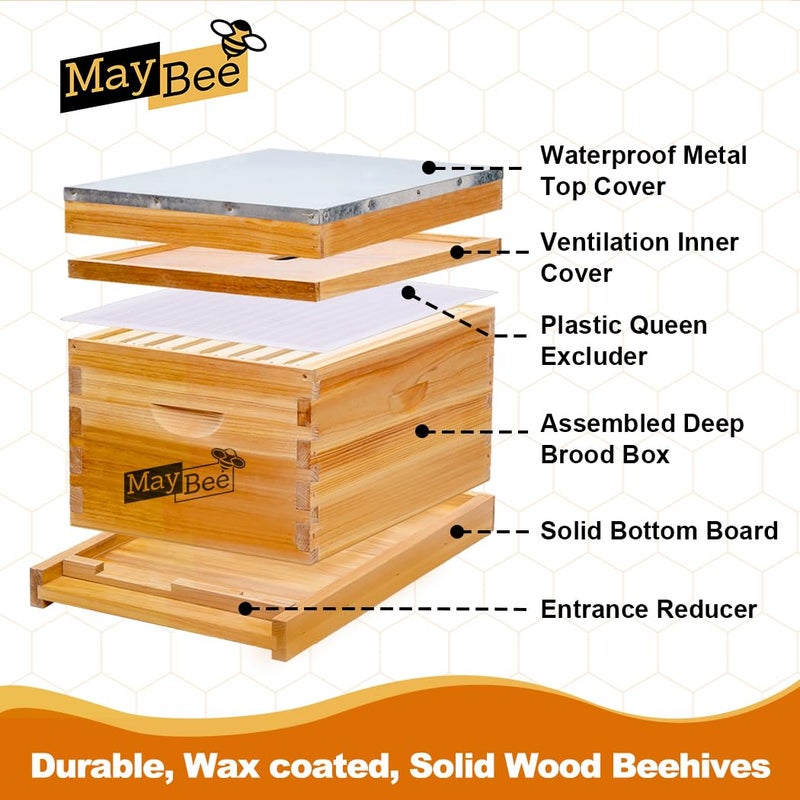MayBee Beehive Starter Kit 8-Frame Bee Boxes and Frames Starter Kit Wax Coated Bee Hives and Supplies Starter Kit Including Beekeeping Tools Kit with Beekeeping Veil - Image 4