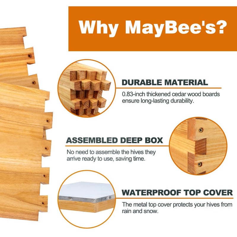 MayBee Beehive Starter Kit 8-Frame Bee Boxes and Frames Starter Kit Wax Coated Bee Hives and Supplies Starter Kit Including Beekeeping Tools Kit with Beekeeping Veil - Image 3