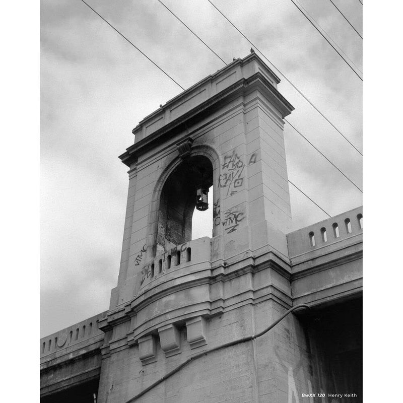 CINESTILL Double-X BWXX Black and White 120 Roll - Image 2