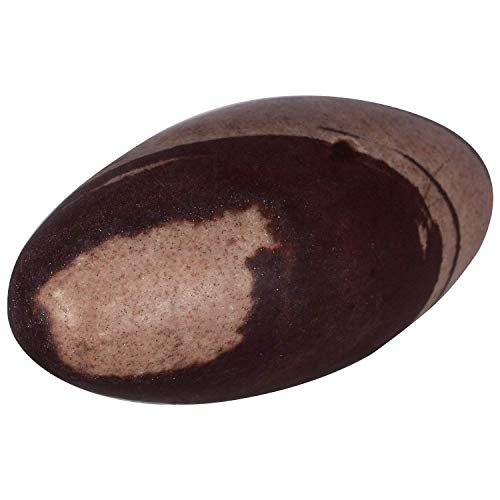 eSplanade Narmada Stone Narmadeshwar Shiv Ling, Shiva Lingam, Indian Idols & Statues (2" Inch Medium Size) - Image 2