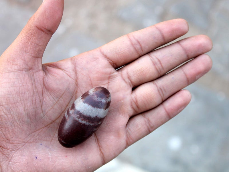 eSplanade Narmada Stone Narmadeshwar Shiv Ling, Shiva Lingam, Indian Idols & Statues (2" Inch Medium Size) - Image 3