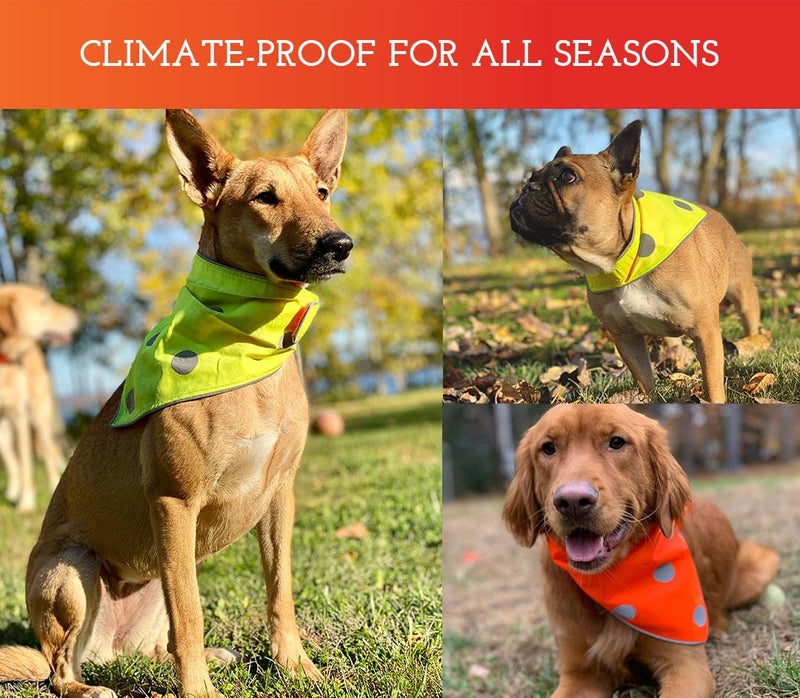 SPOT THE DOG! Reflective Dog Bandanas - Reversible High Visibility Safety Dog Accessories, Dog Collar, Fluorescent Dog Apparel for Walking, Hiking and Camping, Hunting (Blaze Orange, Yellow, XS-S) - Image 4