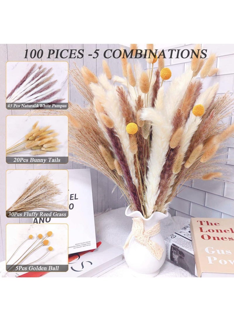 Generic 100 Pcs Dried Pampas Grass Dried Flowers Of Small Reeds Boho Natural Flowers Arrangements White Reed Bunny Tails for Home Decor Flower Living Room Balcony Wedding Party 