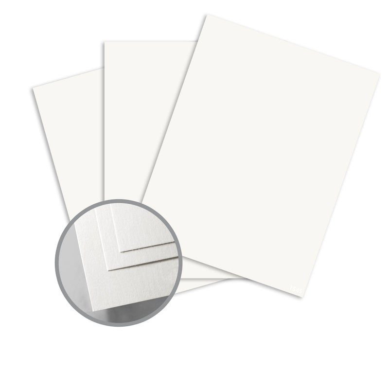 Thank You Cards Pack of 25 – Simple Elegant Design, Premium Cardstock, 13.5 x 9.5 cm, Blank Back for Personalized Messages, Ideal for Small Business Packaging, Customer Orders & Gift Wrapping - Image 3