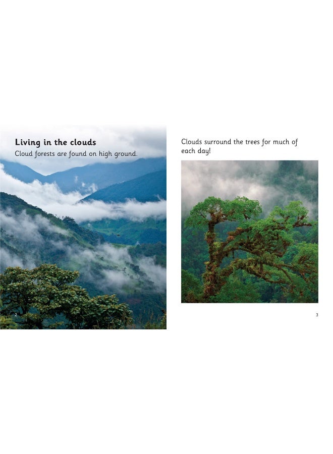 Living in the Clouds: Phase 5 Set 1  - Image 2