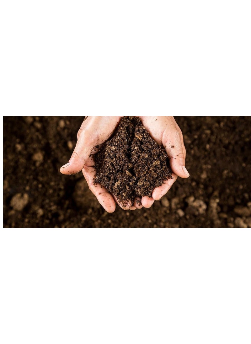 Generic UPJAU Kitchen Waste Decomposer All in One Bio Decomposer Kitchen Waste Compost Maker for Organic Compost Food Waste Decomposer for All Kitchen Waste and BioDegradable Waste 5 Kg  - Image 1