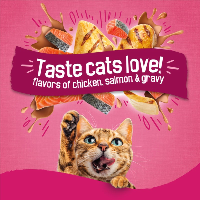Friskies Purina Friskies Dry Cat Food Gravy Swirl'd With Flavors of Chicken, Salmon and Gravy - 3.15 lb. Bag - Image 3